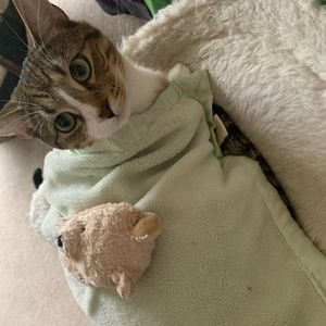 Meet your Posher, Amberlyn